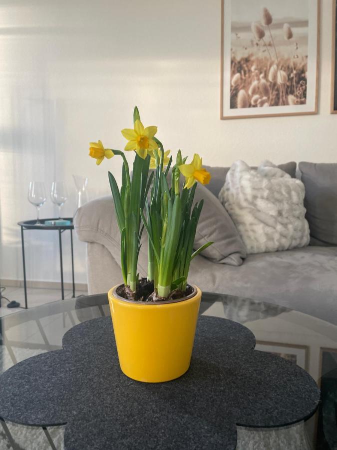 4-Sterne Ferienwohnung Krill Bad Wurzach Kültér fotó